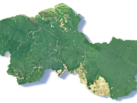 Guyana Terrain Map Modello 3D