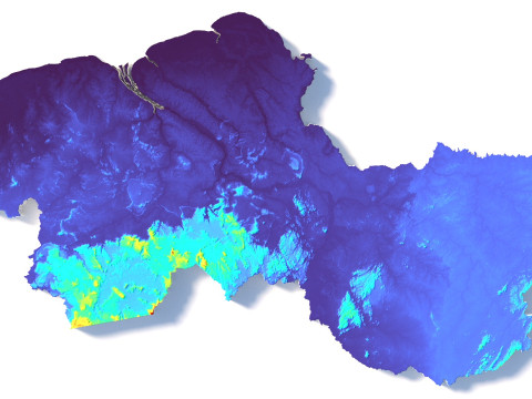 Guyana Terrain Map Modello 3D
