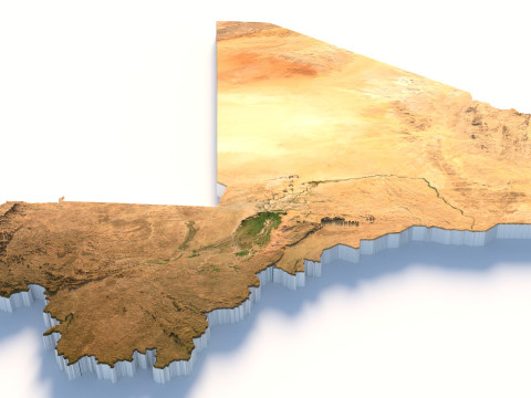 Mali Terrain Map 3D Model