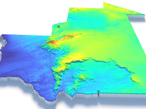 Mauritania Terrain Map 3D 모델