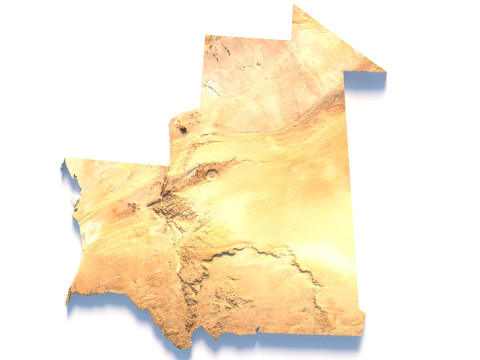 Mauritania Terrain Map 3D 모델