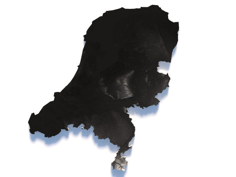 Netherlands terrain map Modèle 3D