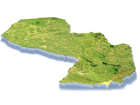 Paraguay terrain map 3D Модель
