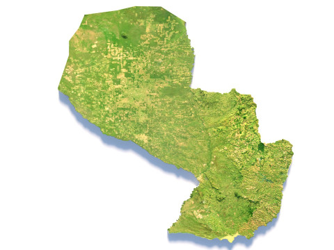 Paraguay terrain map Modèle 3D