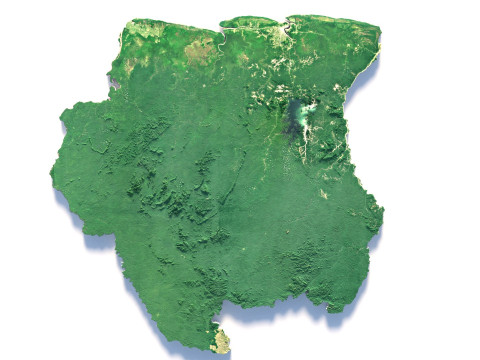Suriname terrain map 3D मॉडल