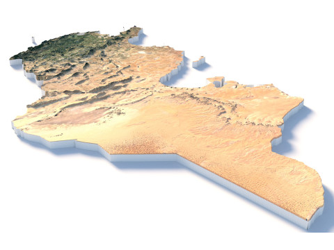 Tunisia terrain map 3D मॉडल