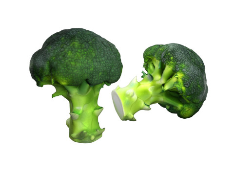 Broccoli scan Model 3D