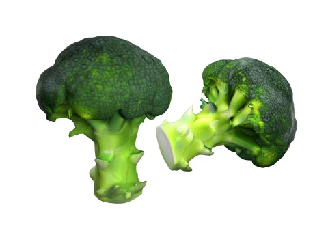 Varredura de br&oacute;colis Modelo 3D