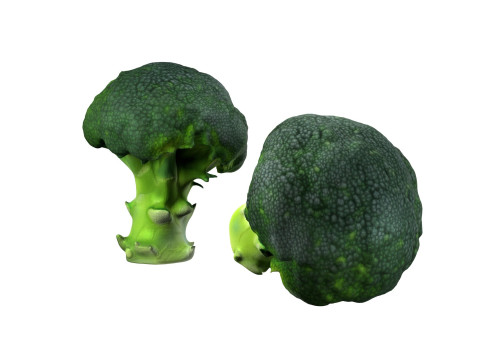 Broccoli scan 3D 模型