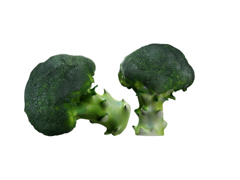 Broccoli scan 3D 模型