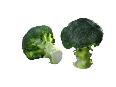 Broccoli scan 3D 模型