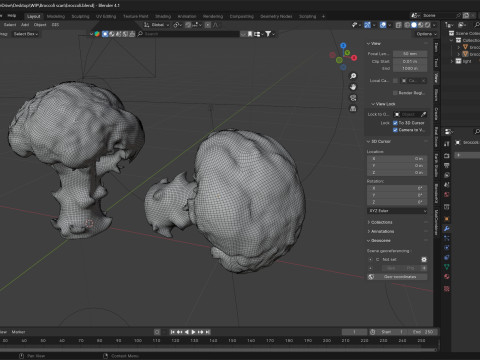 Broccoli scan 3D 模型