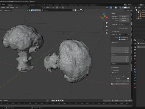 Varredura de br&oacute;colis Modelo 3D