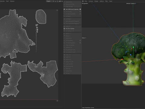 Varredura de br&oacute;colis Modelo 3D