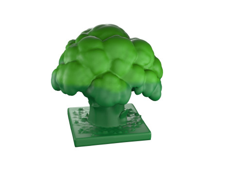 Cartoon Broccoli 2 3D Model