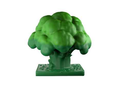 Cartoon Broccoli 2 3D Model