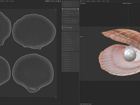 コンクシェルパール 3Dモデル