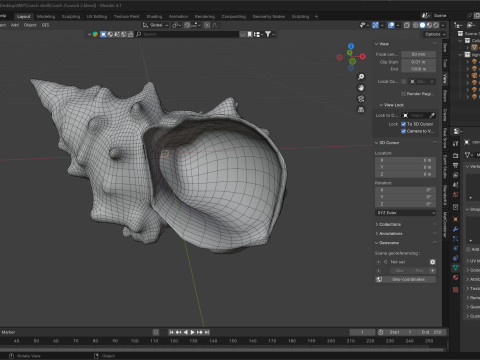 Conch shell v2 3D Model