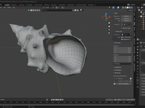 Conch shell v2 3D Model