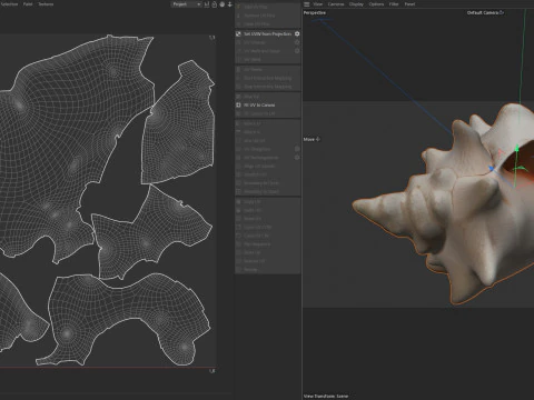 Conch shell v3 3D Model