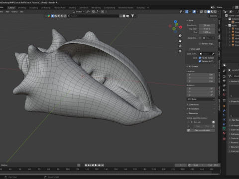 Conch shell v3 3D Model