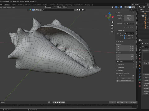 Conch shell v3 3D Model