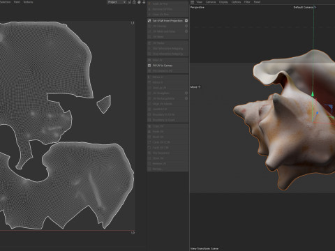 Conch shell v4 Modello 3D