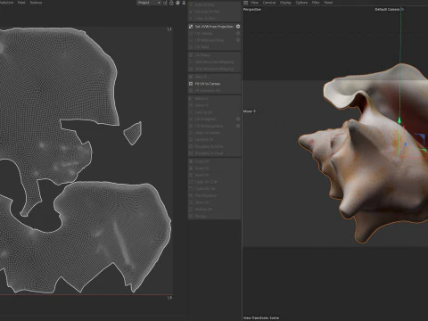 Conch shell v4 3D Model
