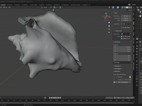 Conch shell v4 Modello 3D