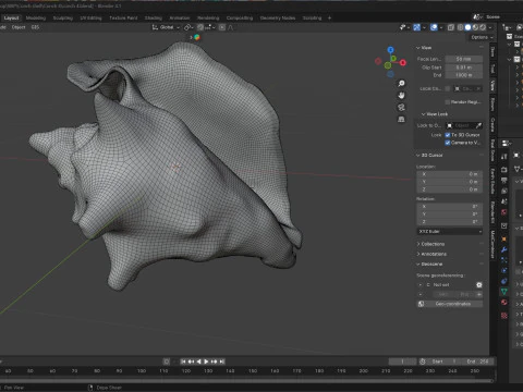 Conch shell v4 3D Model