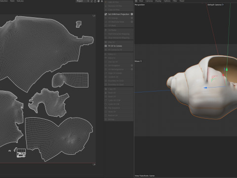 Conch shell v5 Modelo 3D