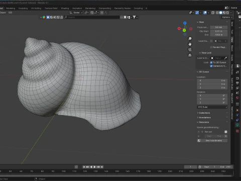Muschelschale v6 3D Modell
