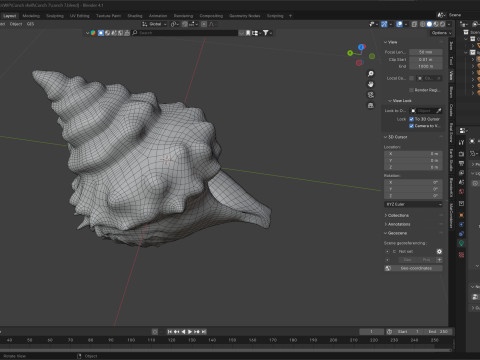 Conch shell v7 3D Model