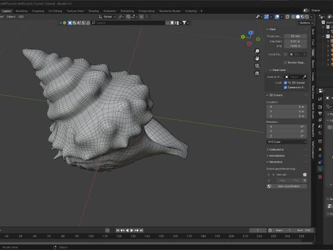 法螺貝 v7 3Dモデル