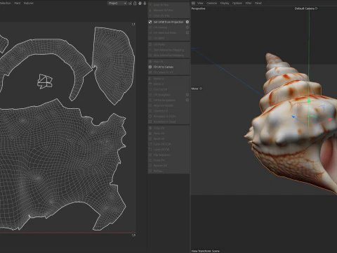 法螺貝 v7 3Dモデル