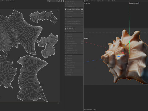 Conch shell v8 3D Model