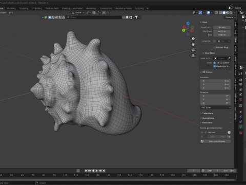 Conch shell v8 3D Model