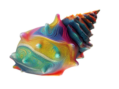 Coquille de conque v9 Modèle 3D