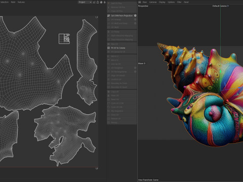 Conch shell v9 3D Model
