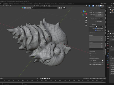 Conch shell v9 3D Model