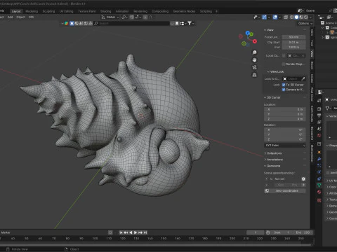 Coquille de conque v9 Modèle 3D