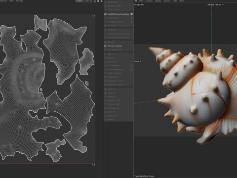 法螺貝 v10 3Dモデル