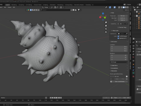 Conch shell v10 3D Model