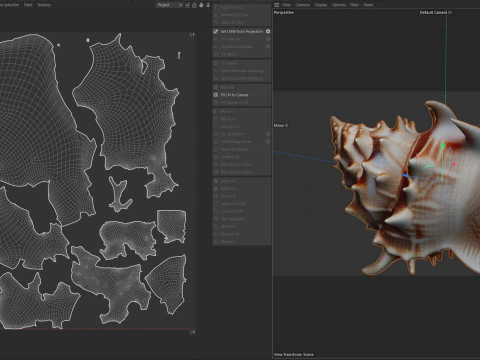 조가비 껍질 v11 3D 모델
