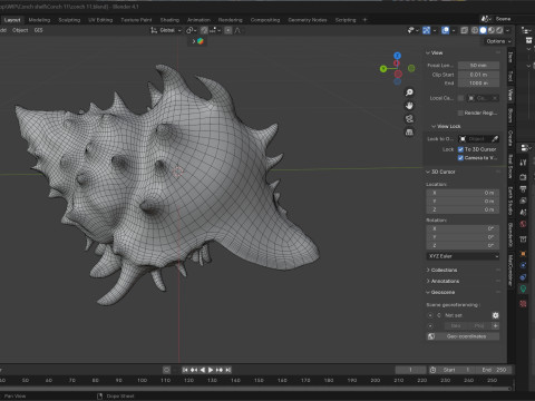 Conch shell v11 3D मॉडल