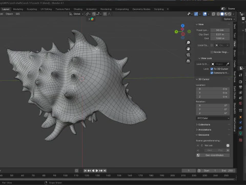 조가비 껍질 v11 3D 모델