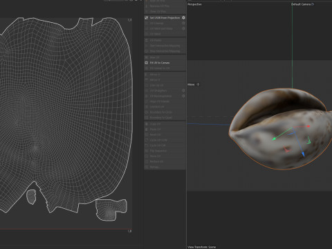 Conch shell v12 Model 3D