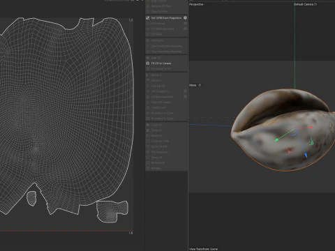 Conch shell v12 3D Model