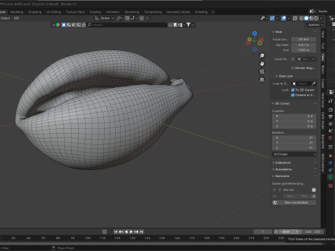 Conch shell v12 Model 3D