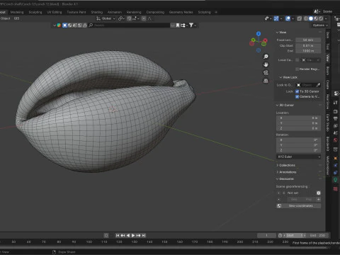 Conch shell v12 3D Model